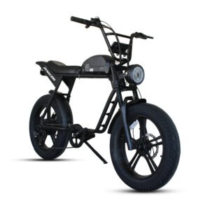 Dynalion Electric Bike for Adults 1000W - 20 Inch Fat Tire Ebike, 32 MPH, 45 Miles Long Range, Off-Road Adventure, 48V 16AH Battery