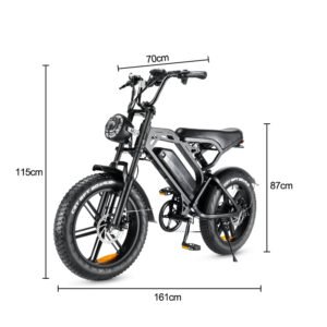 750W Electric Fat Tire Bike - Retro Style for Mountain Trails and City Adventures